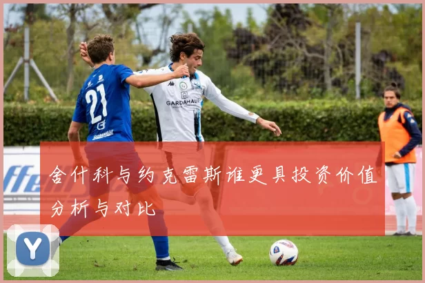 舍什科与约克雷斯谁更具投资价值分析与对比